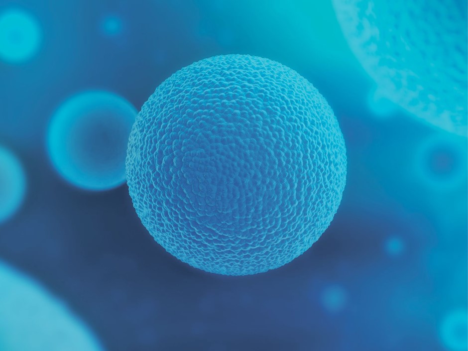 Next Biosciences and Genesis, Genetics South Africa combine their DNA