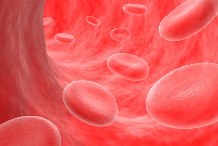 Stem cell revolution