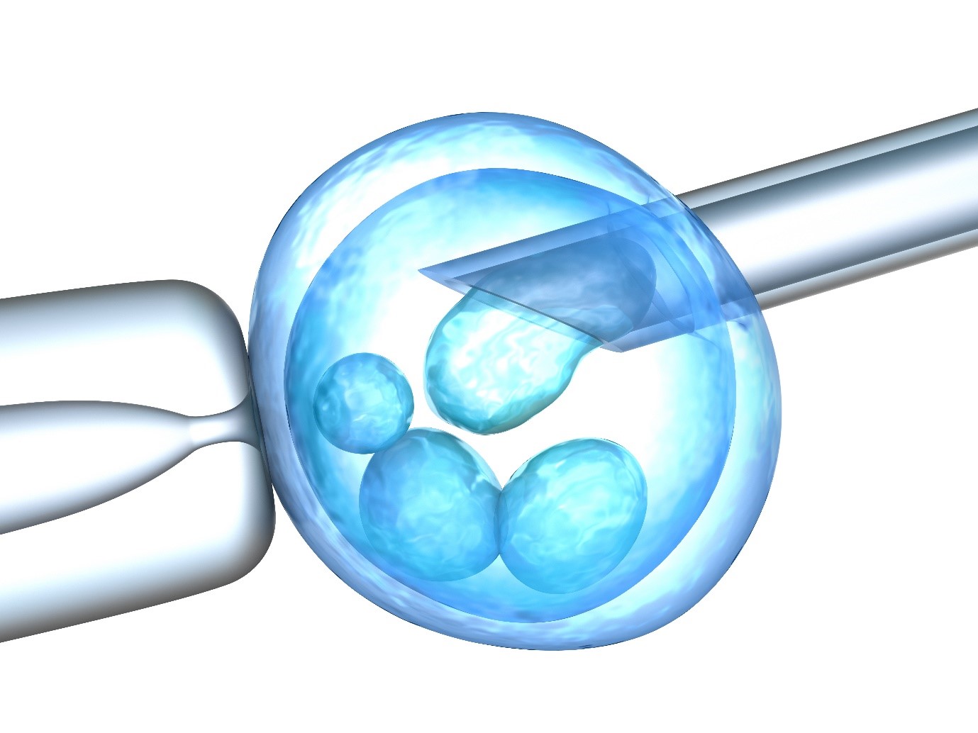 HLA matching embryos for the potential treatment of life-threatening conditions