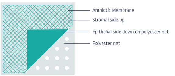 Benefits of AmnioRederm