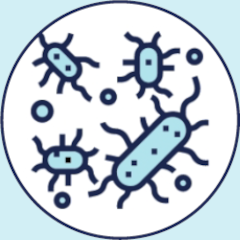 Inherited Immune System Disorders