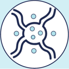 Lymphomas