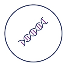 Elective single embryo transfer 