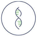 Next generation sequencing