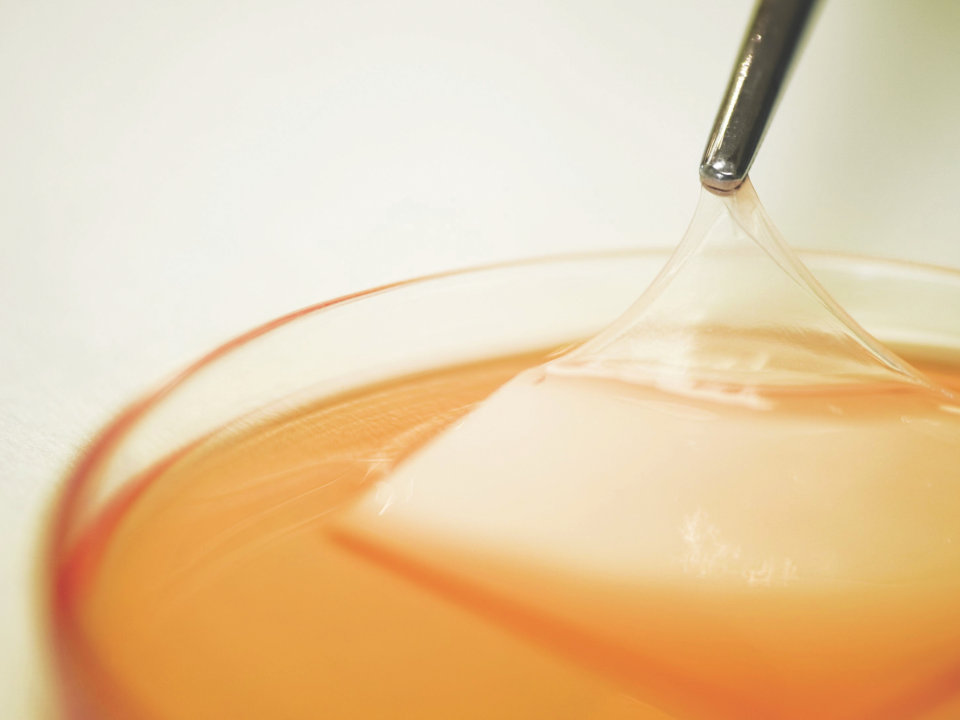 Clinical Applications in Regenerative Health