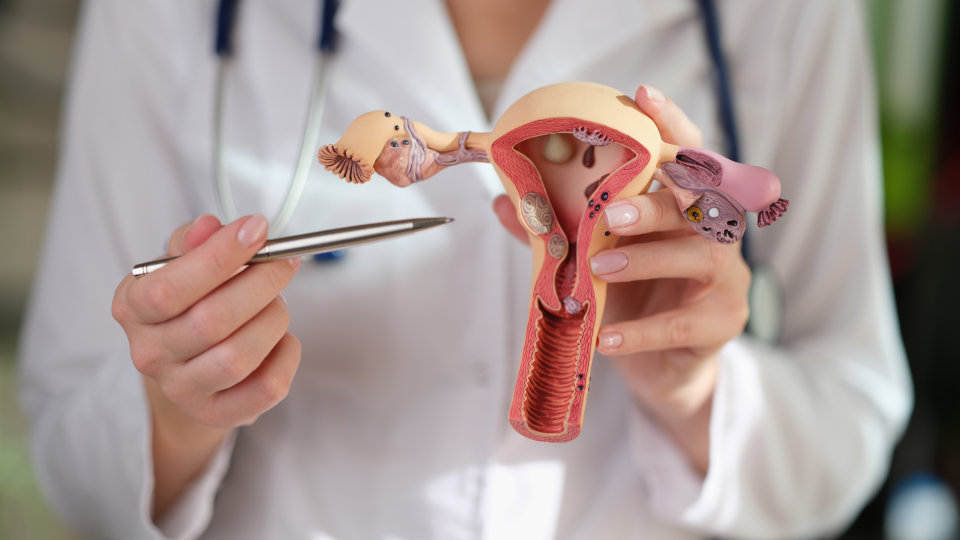 What is the Endometrial Receptivity Test?