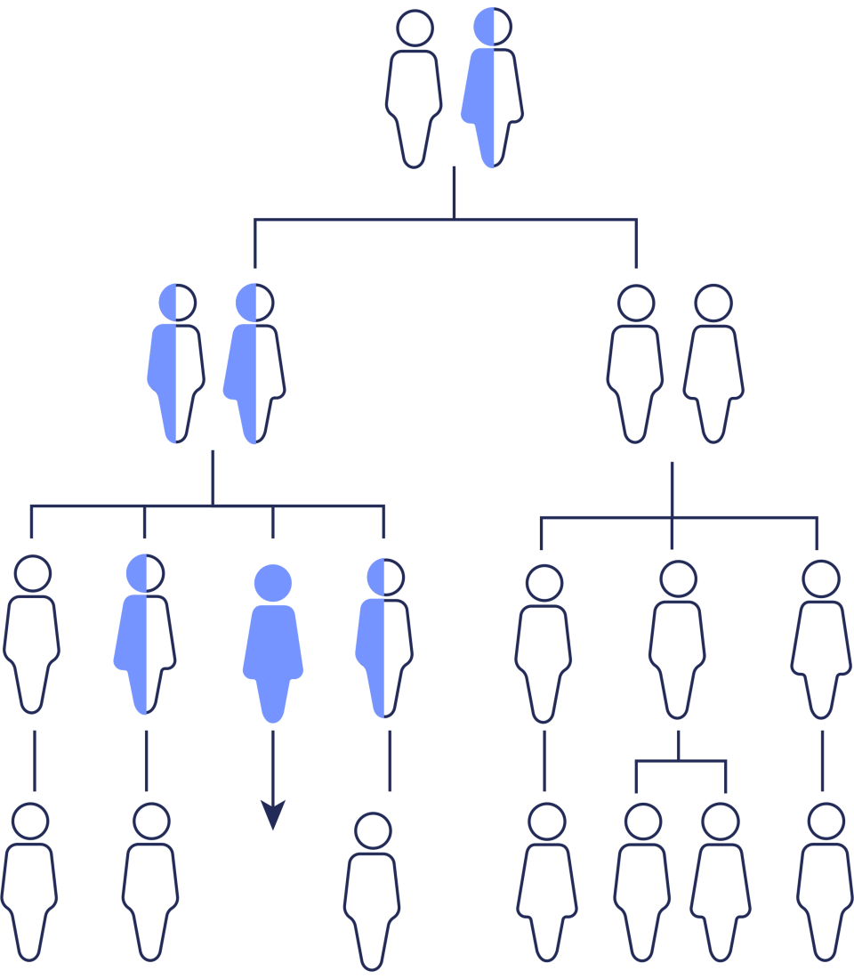 How Genetic Counselling Works