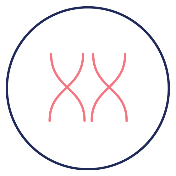 Non-Invasive Testing