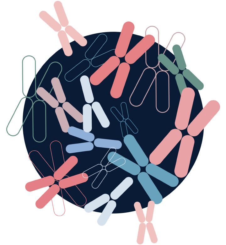 How the MiniMi Fetal DNA Test Works