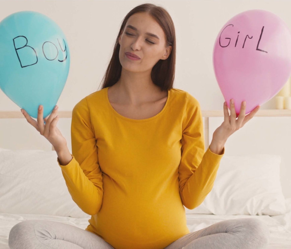 What is the MiniMi Early Fetal Sex Test?