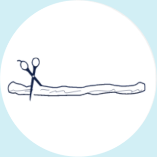The umbilical cord is clamped and cut after birth. 