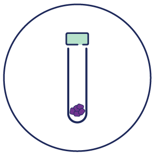 Sample Testing