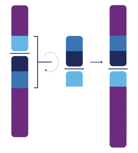 Pericentric Inversion