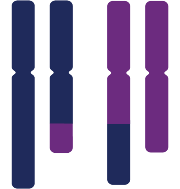 Unbalanced Chromosomal Arrangement