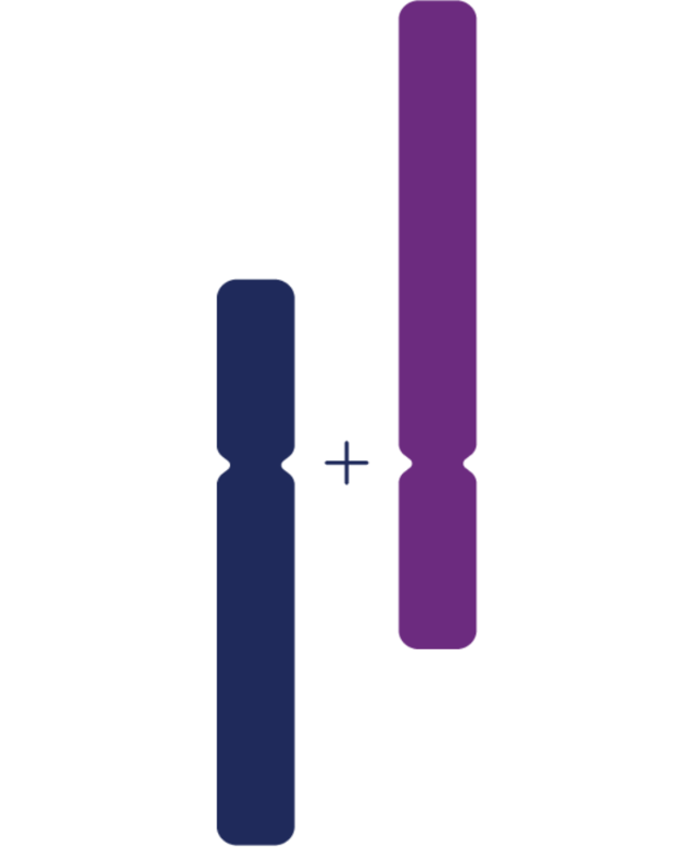 Normal Nonhomologous, Acrocentric Chromosomes