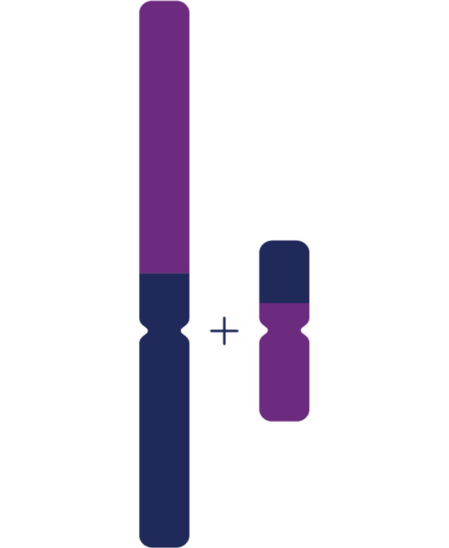 Robertsonian Translocation