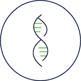 DNA sequencing (NGS) is performed 