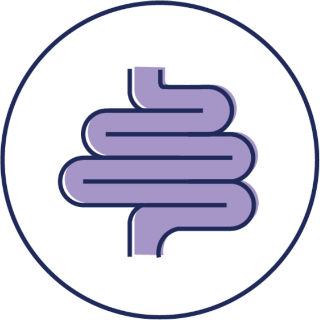 Digestion