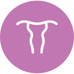 Endometrial Health