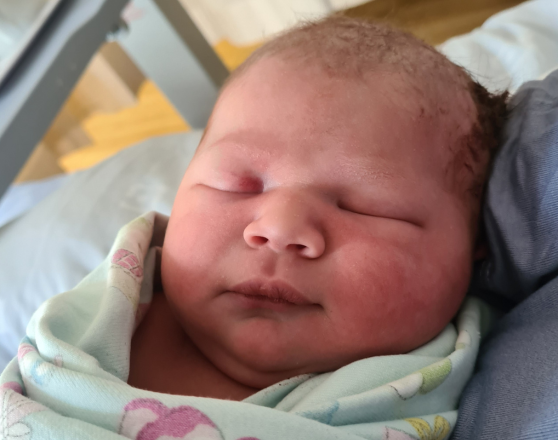 Excellent Customer Service