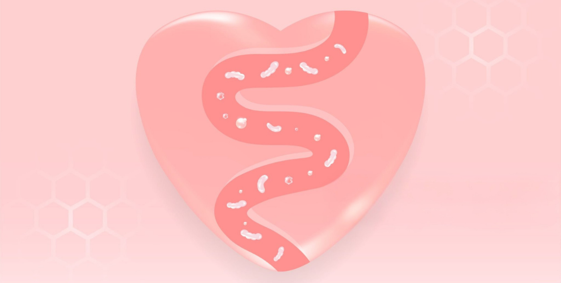 The Heart-Gut Axis: How Your Microbiome Affects Blood Pressure 
