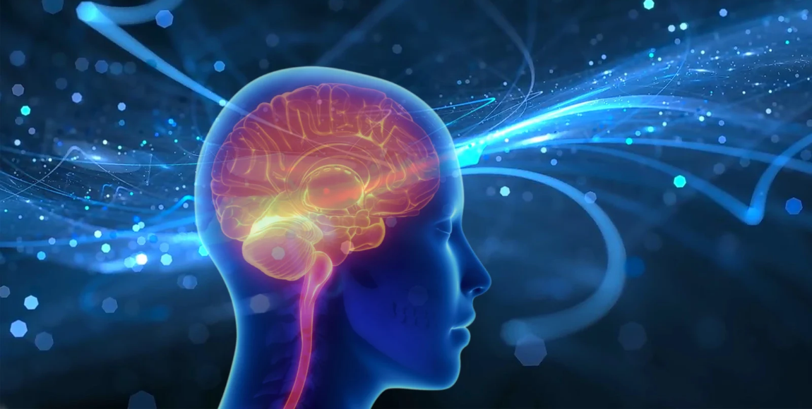 Memory & Brain Health: What Your Genes Reveal About Cognitive Ageing